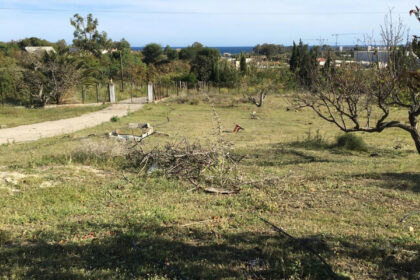 a76853c83dbc181a91ddce66b0f44849 - 21