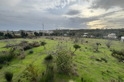 a76853c83dbc181a91ddce66b0f44849 - 3