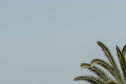 a93d01d1706b3a00f787328990924c4e - 27