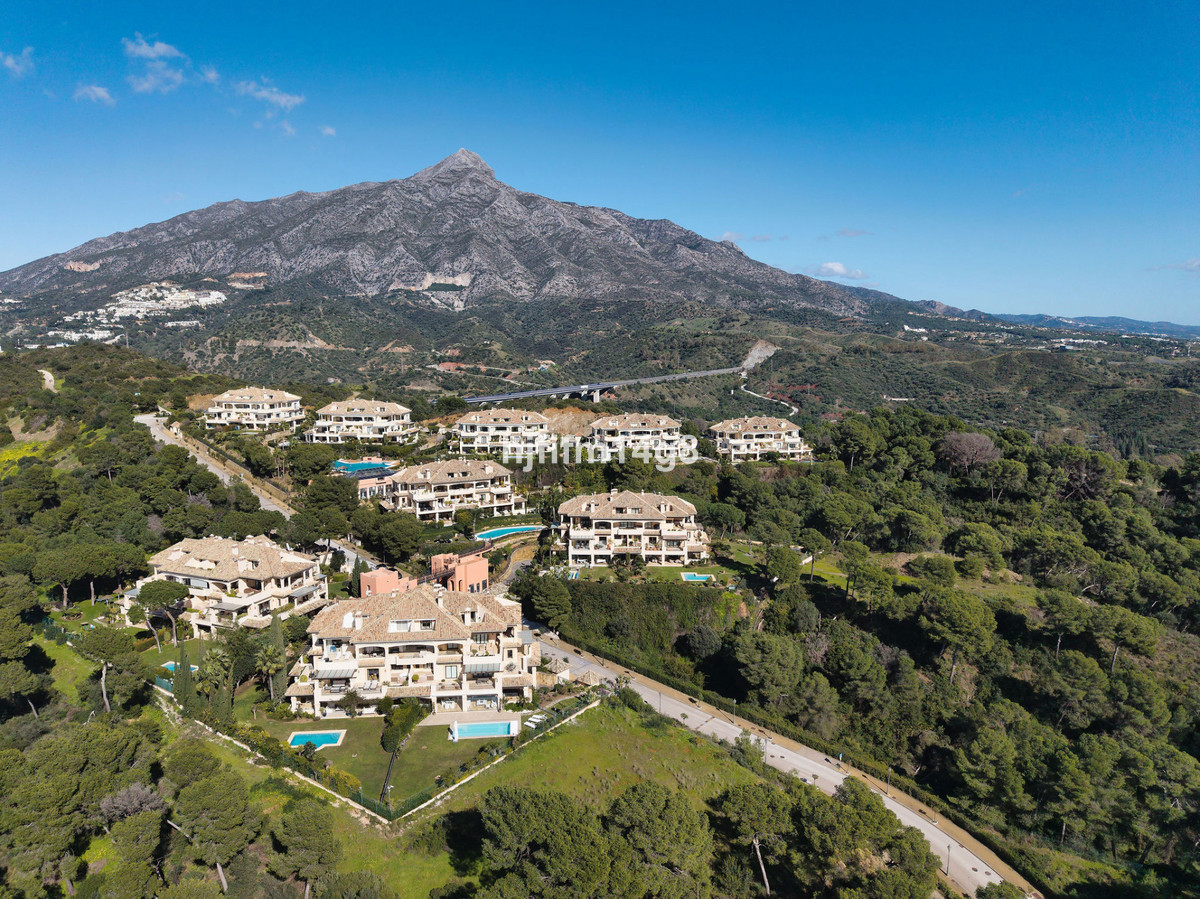 aa14b1a61facd5a2414cf2b89ce4f470 - 35