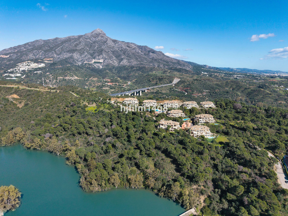 aa14b1a61facd5a2414cf2b89ce4f470 - 37