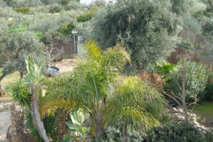 ab02e07b25b7c23038dc2f93016ca234 - 101