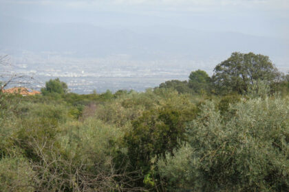 ab02e07b25b7c23038dc2f93016ca234 - 121