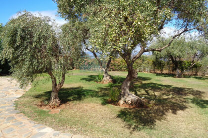 ab02e07b25b7c23038dc2f93016ca234 - 23