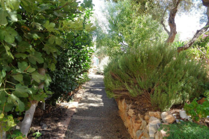 ab02e07b25b7c23038dc2f93016ca234 - 32