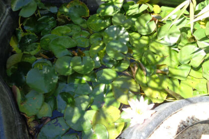 ab02e07b25b7c23038dc2f93016ca234 - 37