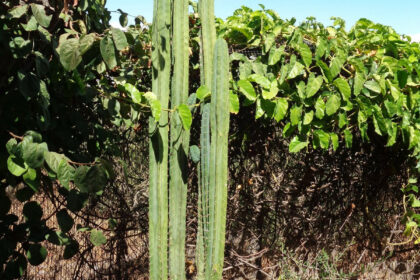 ab02e07b25b7c23038dc2f93016ca234 - 38