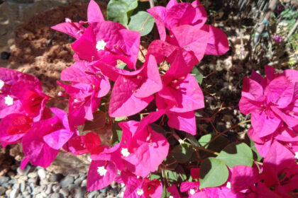 ab02e07b25b7c23038dc2f93016ca234 - 5