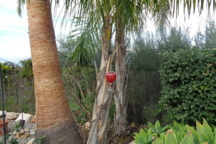 ab02e07b25b7c23038dc2f93016ca234 - 52