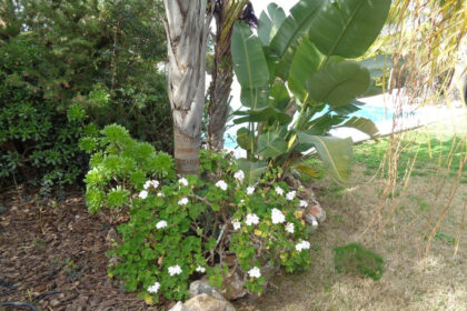 ab02e07b25b7c23038dc2f93016ca234 - 57