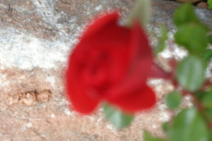 ab02e07b25b7c23038dc2f93016ca234 - 84