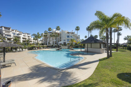 ac4317f3864e40164f2612e4064e668e - 2