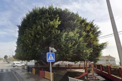 ac6bbebd0ccb788363bd1241a940da4d - 21