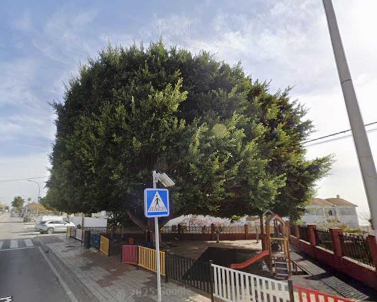 ac6bbebd0ccb788363bd1241a940da4d - 21