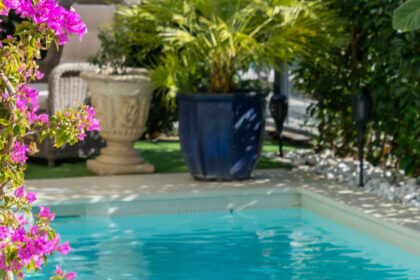 acc95734d766f13bfc29c614af06aecf - 27