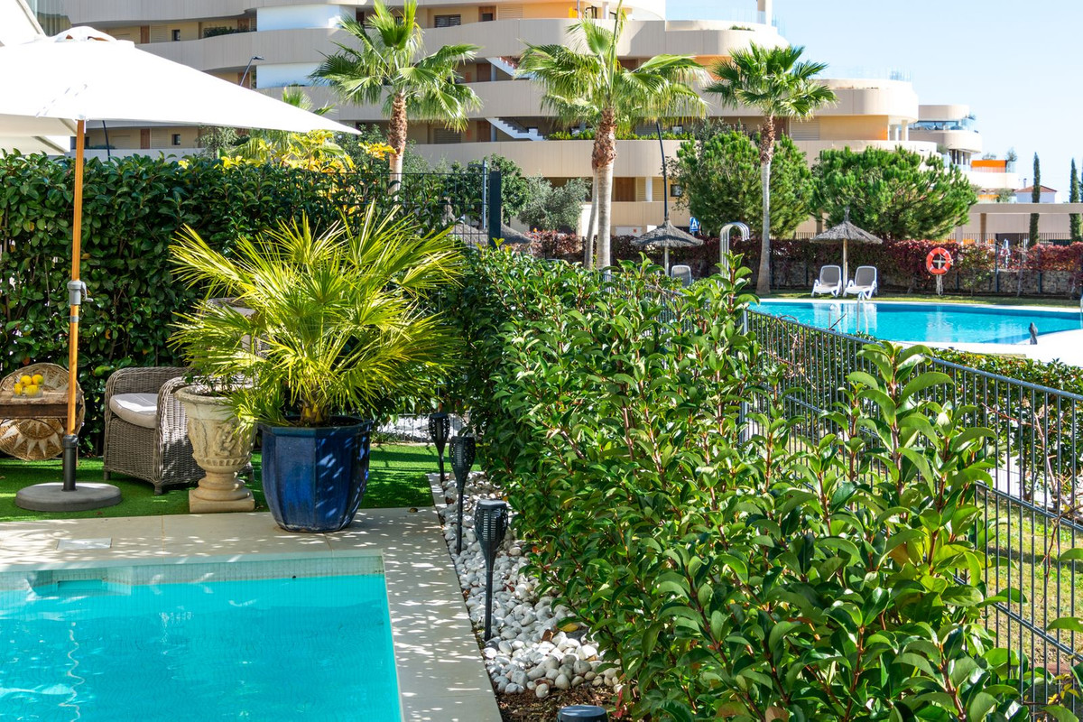 acc95734d766f13bfc29c614af06aecf - 36