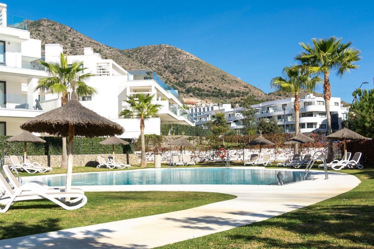 acc95734d766f13bfc29c614af06aecf - 7