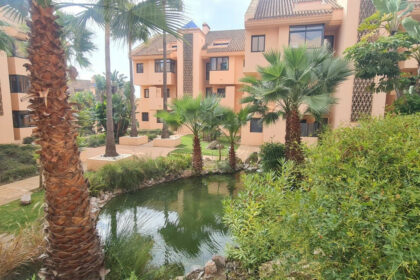 af3b5638e702c372c95c7c68d9996fce - 23