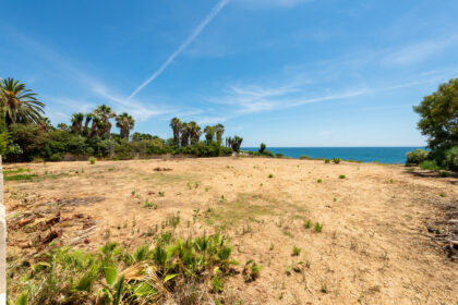 b0c6a68f9c91bb355a29a4919282975e - 22