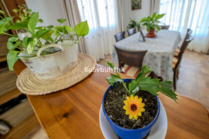 b11e0a399219862ac22c05e35674797e - 13