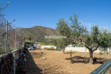 b11e0a399219862ac22c05e35674797e - 45