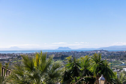 b123d57061f133e54657c4d241eb0b06 - 41