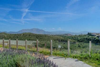 b1457617bd34aa4f9ca1c2f3517b4ffc - 14