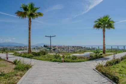 b1457617bd34aa4f9ca1c2f3517b4ffc - 9