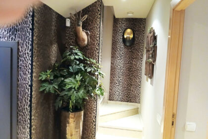 b3529551a2494dbe873a5b1b54c4a323 - 15