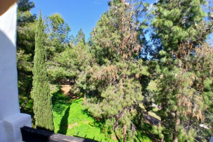 b3529551a2494dbe873a5b1b54c4a323 - 40