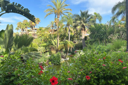 b39c220003d8cabf9538c0ede1fbc4d0 - 20