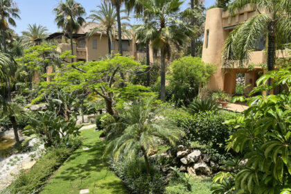 b39c220003d8cabf9538c0ede1fbc4d0 - 21