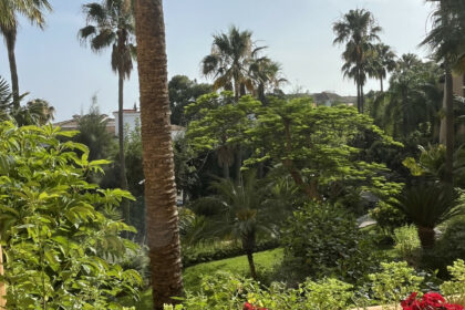 b39c220003d8cabf9538c0ede1fbc4d0 - 23