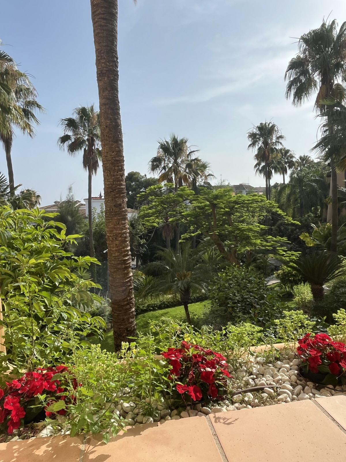 b39c220003d8cabf9538c0ede1fbc4d0 - 23