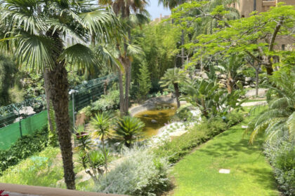 b39c220003d8cabf9538c0ede1fbc4d0 - 24