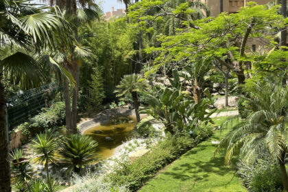 b39c220003d8cabf9538c0ede1fbc4d0 - 29