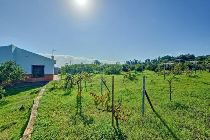 b5059f5db91d247a0ff3c5e2d6f76c50 - 26