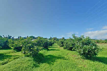 b5059f5db91d247a0ff3c5e2d6f76c50 - 29