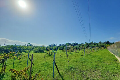 b5059f5db91d247a0ff3c5e2d6f76c50 - 30