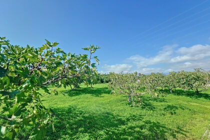 b5059f5db91d247a0ff3c5e2d6f76c50 - 32