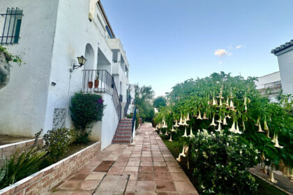 b8af2998cc7f00d93cf29222175396f1 - 40