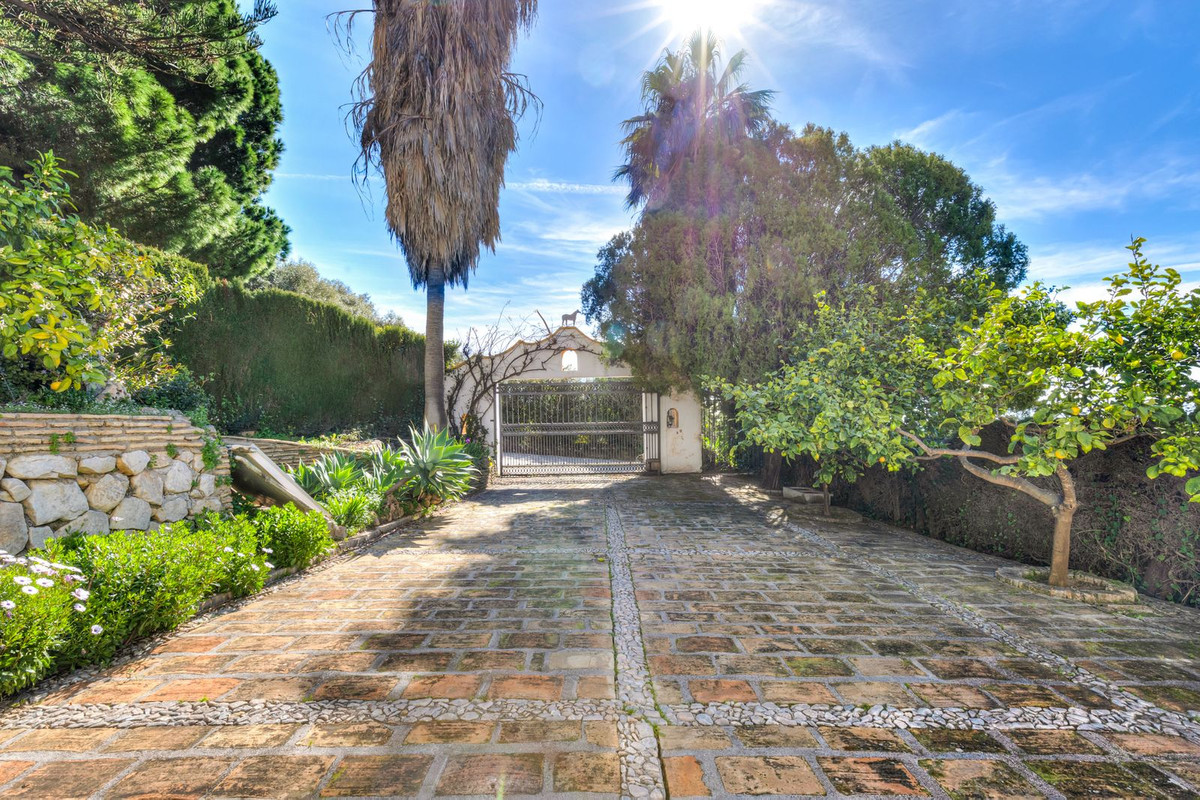 bcfd21026a95a25f585c87d201b7f080 - 32