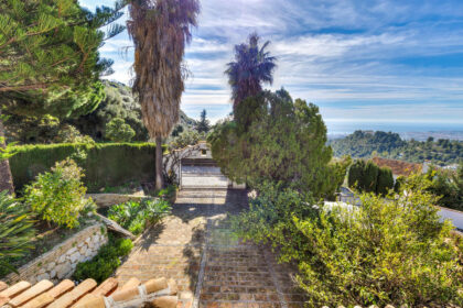 bcfd21026a95a25f585c87d201b7f080 - 37