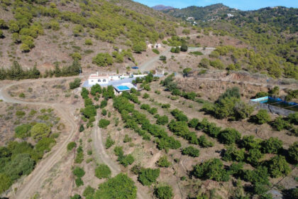 bf3157373fe0414117d6b6141b5251c7 - 48