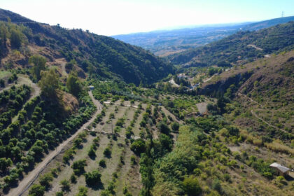 bf3157373fe0414117d6b6141b5251c7 - 49