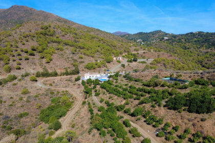 bf3157373fe0414117d6b6141b5251c7 - 50