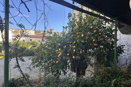 c19570492efa6f346d77991c4a4cf62e - 21