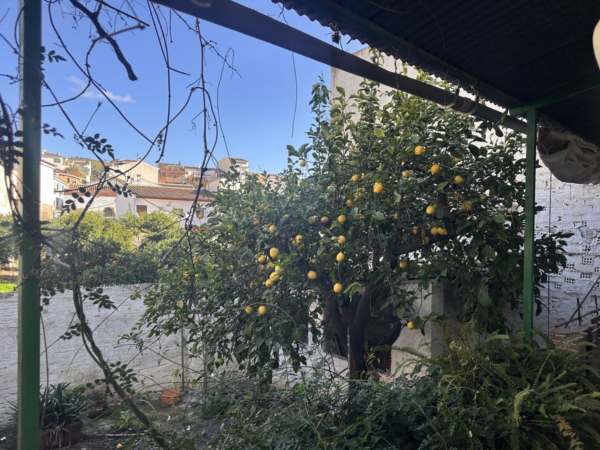 c19570492efa6f346d77991c4a4cf62e - 21