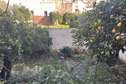 c19570492efa6f346d77991c4a4cf62e - 3