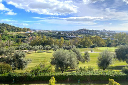 c330bd1f667b481c059c91bb7b12ffa6 - 44